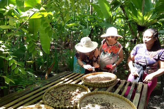 Bali Night Market Experience and Ubud Highlights tour - Price and value: what you’re really paying for
