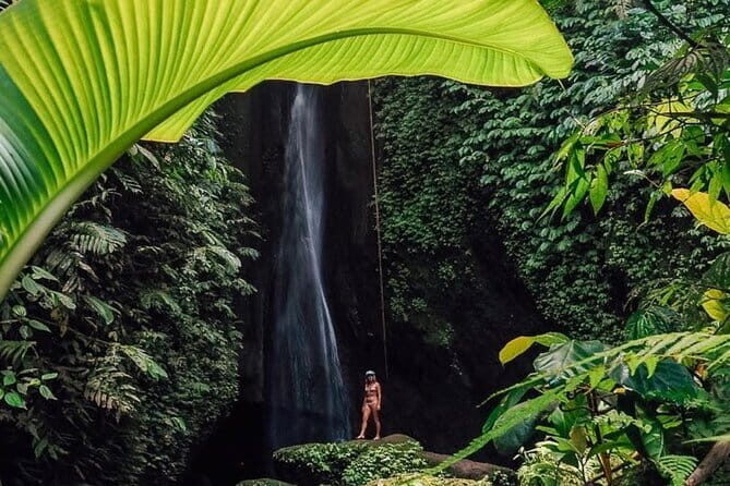 Bali : Northern Bali Private Day Trip with Transfer - Key highlights you’ll feel right away