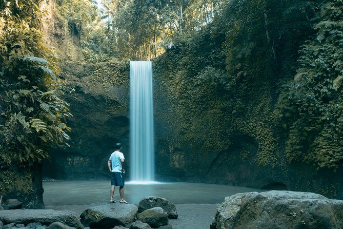 Bali Private Car Charter With English Speaking Driver - Price and value: $33 per person can be a bargain or a splurge