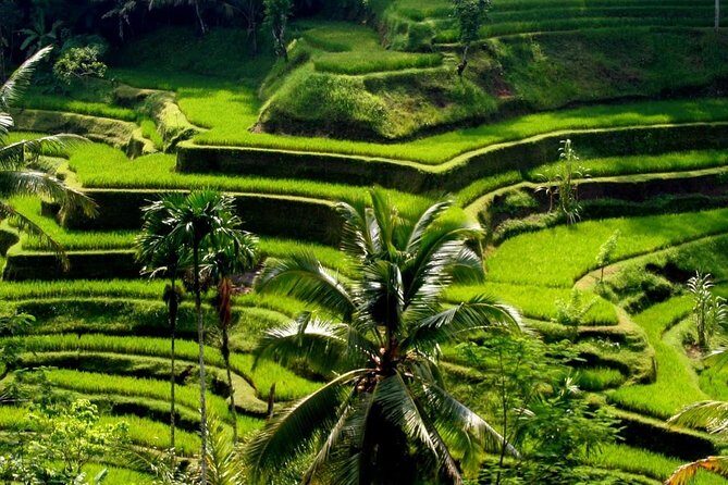 Bali Private Car Charter With English Speaking Driver - Where you can go for the base price (and where the $25 per car kicks in)