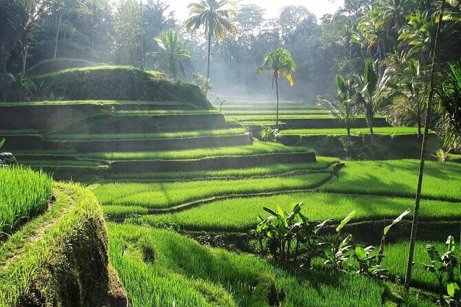 Bali Private Mystic Death Tour In Trunyan - Value for $79: What’s Included and What You’ll Still Need