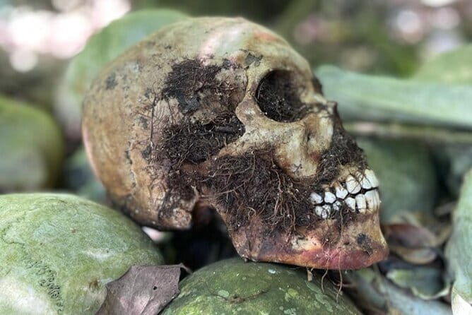 Bali Private Mystic Death Tour In Trunyan - Pickup, Timing, and How the Day Flows (Without Feeling Choppy)