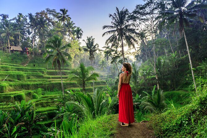 Bali Private Tour - Best of Ubud - All Inclusive - Why a private full-day plan beats DIY in Ubud