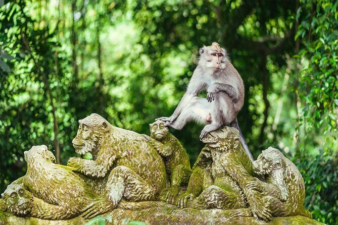 Bali Private Tour - Best of Ubud - All Inclusive - Pickup and the rhythm of a 8 to 10 hour day