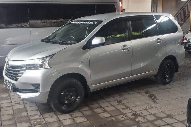 Bali Private Tour - Car with Driver - Included comforts: AC, petrol, parking, and private transport