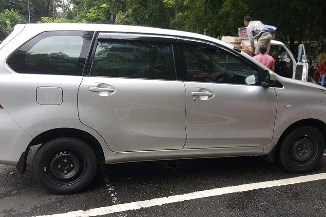 Bali Private Tour - Car with Driver - Who this Bali private car tour suits best
