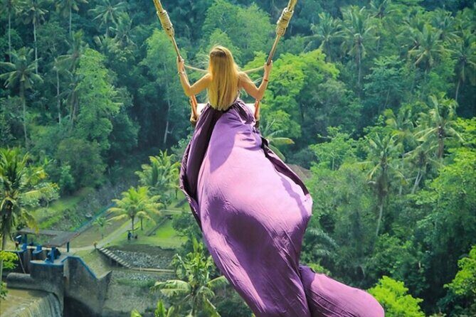 Bali Private Tour: Lempuyang Gate of heaven-Tirta gangga-Tukad Cepung - Private Door-to-Door in Ubud: what this day trip is really for