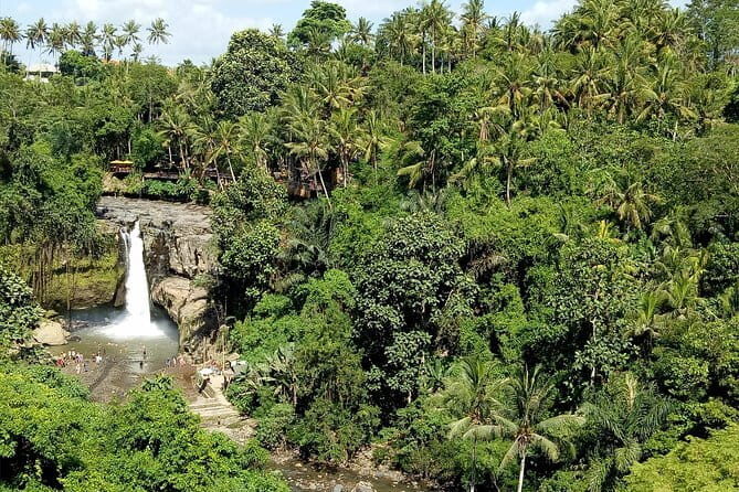 Bali Private Tour: Waterfall, Monkey forest and Tanah lot sunset - Pickup, Timing, and How an 8–10 Hour Day Stays Fun
