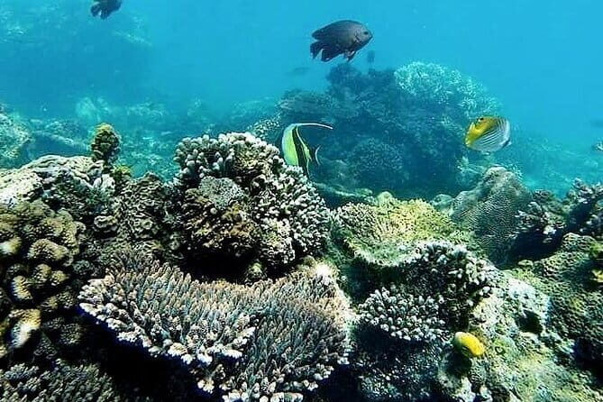 Bali Private Tour: Waterfall, Monkey forest and Tanah lot sunset - Ubud Royal Palace Area and Traditional Art Market in One Hour