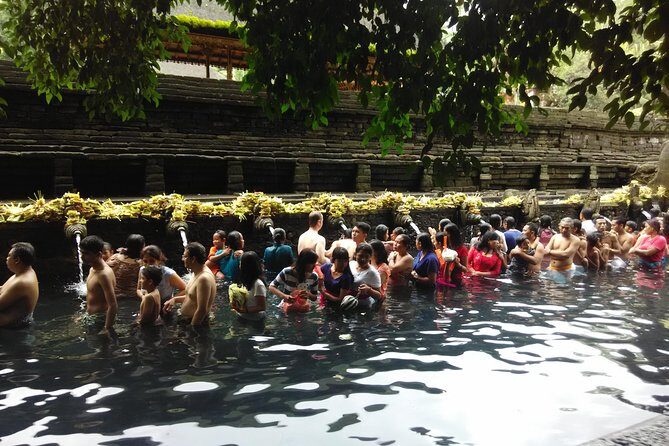 Bali Purification Ritual - Price and Value: Is $65 Fair for a 5-Hour Ritual Day?