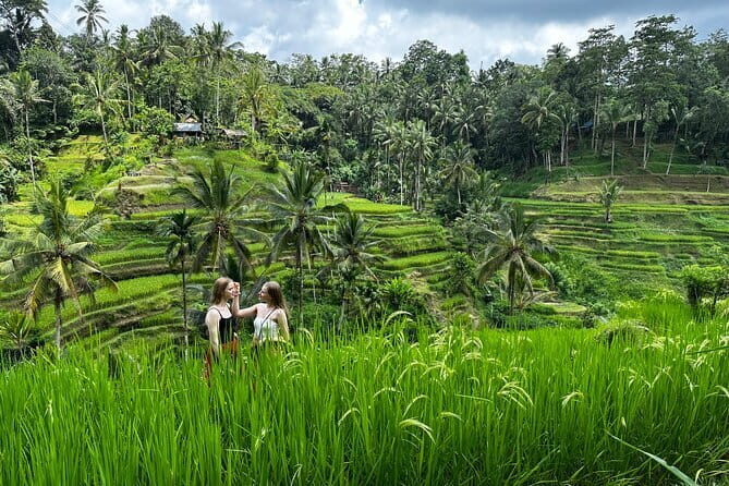 Bali Rafting : Bali Family Rafting in Ubud and Ubud Private Tour - Monkey Forest Sanctuary: Short Walk, Big Energy, Around 700 Macaques