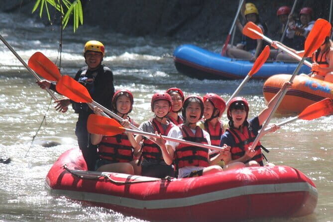 Bali Rafting : Bali Family Rafting in Ubud and Ubud Private Tour - The Private Car Advantage: Staying Comfortable Between Stops