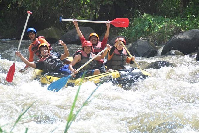 Bali Rafting - Ubud River Rafting With Lunch - The Ayung River Run: What Grade II–III Means in Real Life