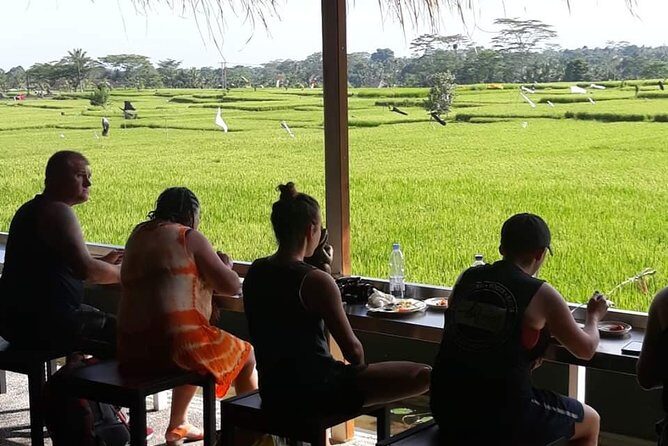 Bali Rafting - Ubud River Rafting With Lunch - From Pickup to River: How the Half-Day Usually Feels