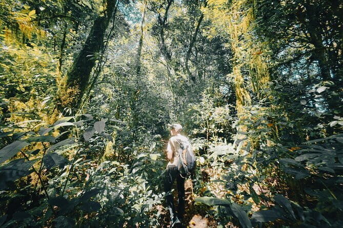 Bali Rainforest Hiking With Canoeing And Waterfall Adventure - Quick hits before you go
