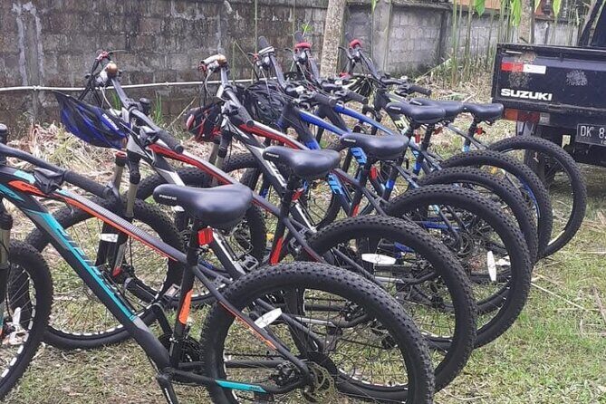 Bali Rural Village Bike - Who should book this rural village bike tour