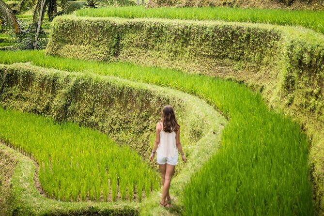 Bali Rural Village Bike - The 5-hour route: rice paddies, temples, and village architecture