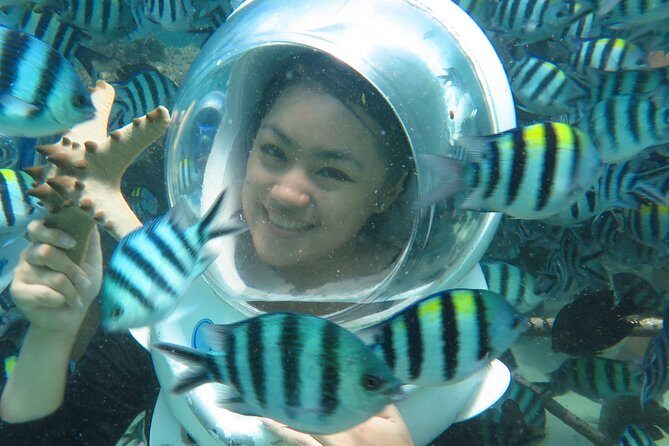 Bali Sea Walker - Gear, safety, and the included insurance that matters