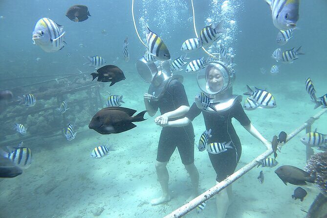 Bali Seawalker - Sea-Walker at Tanjung Benoa: What You Actually Do
