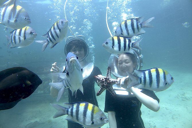 Bali Seawalker - Your 20 Minutes Underwater: Fish, Coral, and Ear Comfort
