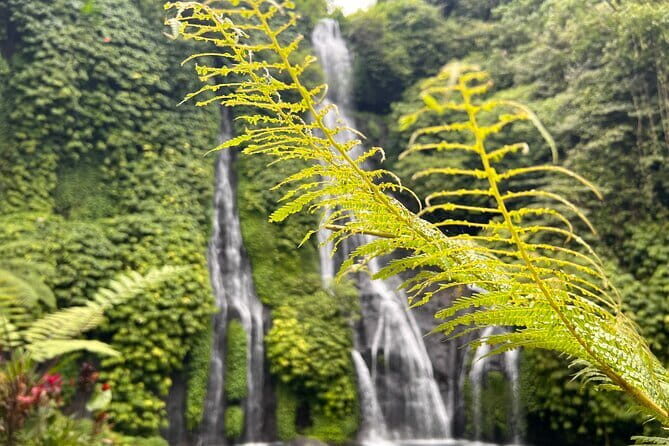 Bali Secret Waterfalls: Banyumala & Leke Leke Waterfalls - A Private North Bali Day With Real Walking Time