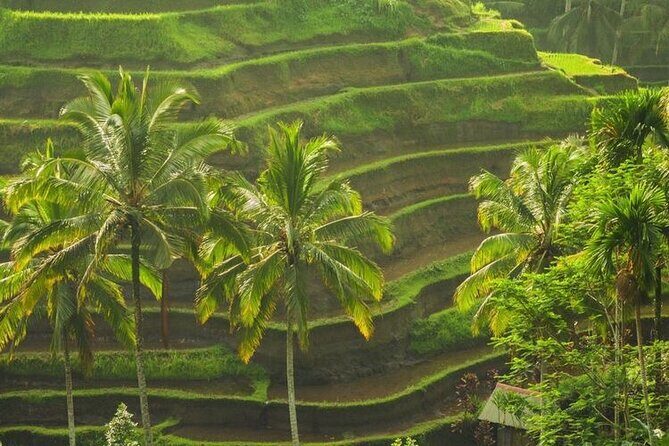 Bali Sightseeing - Price and value: what $78 covers and what you’ll still pay