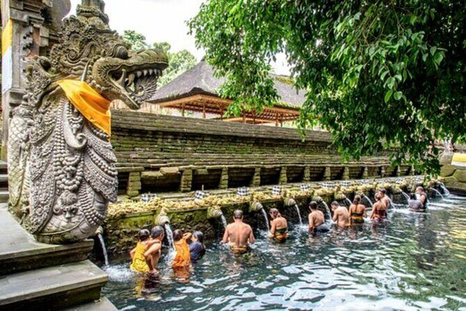 Bali Sightseeing Tour - Traditional village - Waterfall - Tirta Empul Temple: Sacred Springs and the Meaning of Purification