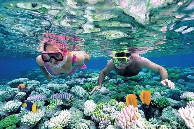 Bali Snorkeling at Blue Lagoon and Tanjung Jepun with Transfer - Key things I’d bet on before you go