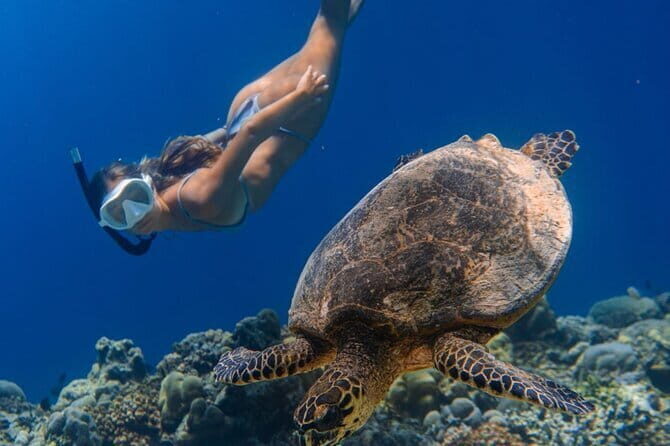 Bali Snorkeling at Blue Lagoon and Tanjung Jepun with Transfer - The Boat Ride and Bias Tugel: Small Sights, Easy Momentum