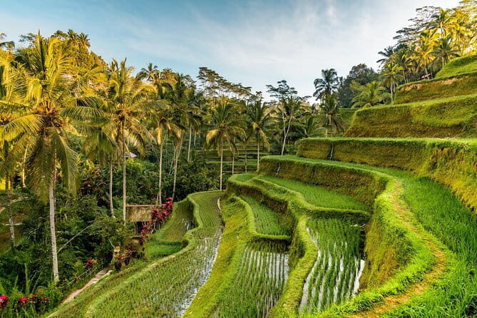 Bali Snorkeling at Blue Lagoon and Tanjung Jepun with Transfer - Lunch at the Basecamp: Food That Helps You Finish the Day