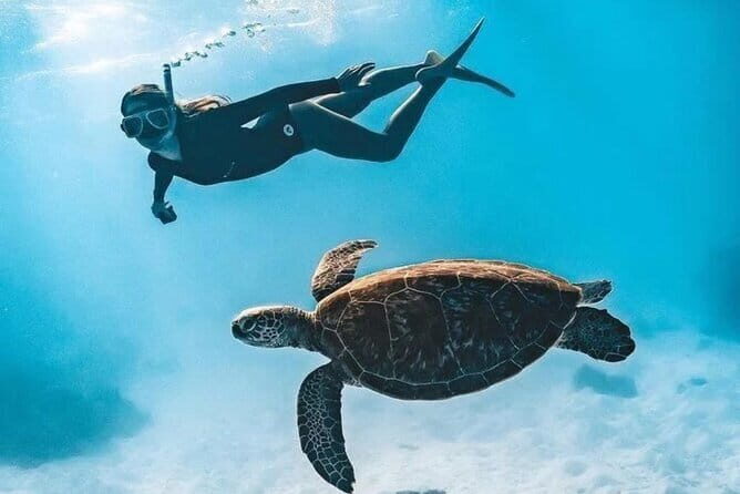 Bali Snorkeling at Blue Lagoon and Tanjung Jepun with Transfer - Ubud Hotel Transfer: The Part You Don’t Want to DIY