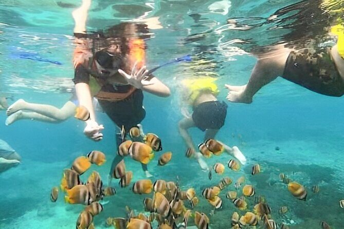 Bali Snorkeling Tour At Blue Lagoon with Gate of Heaven Temple - Pickup, car comfort, and guide quality (Dewa, Bawa, and Merry in the mix)