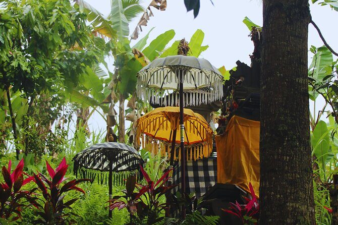 Bali Spiritual: Blessing Ceremony, Pristine Nature and Transfer - Key highlights worth your time