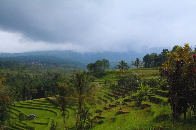 Bali Spiritual: Blessing Ceremony, Pristine Nature and Transfer - What $115 Covers and Why It Feels Fair