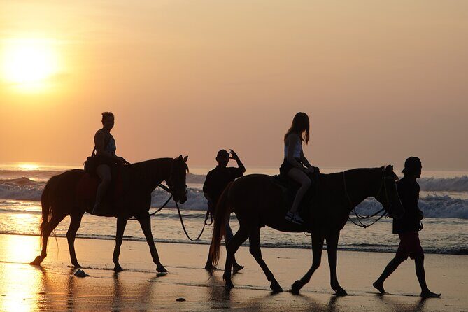 Bali Sunrise Horse Riding and Tour - Key Highlights You’ll Care About