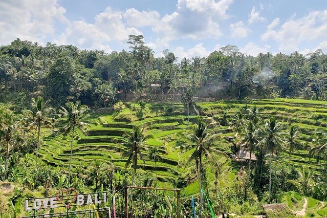 Bali Swing Ubud Private Day Tour - Sacred Monkey Forest Sanctuary: Plan Your Walk and Protect Yourself
