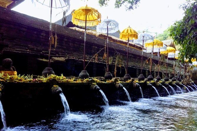 Bali Swing Ubud Private Day Tour - Goa Gajah (Elephant Cave) in Bedulu Village
