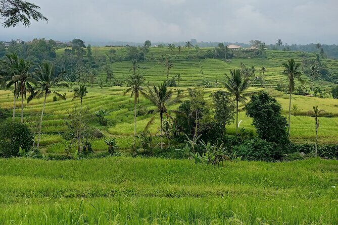 Bali Tanah Lot, Ulun Danu Beratan & Jatiluwih Rice Terrace - A smooth private day from Ubud to three Bali icons