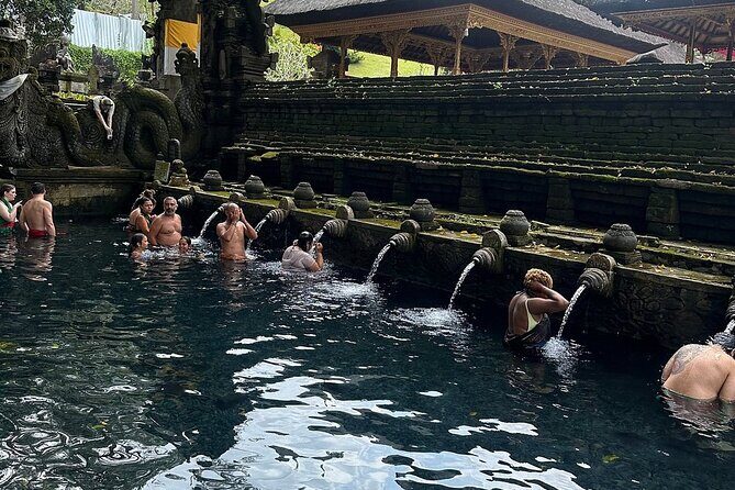 Bali Tirta Empul Tours Experience with Spiritual Cleansing - Your Priest-Led Purification Step-by-Step