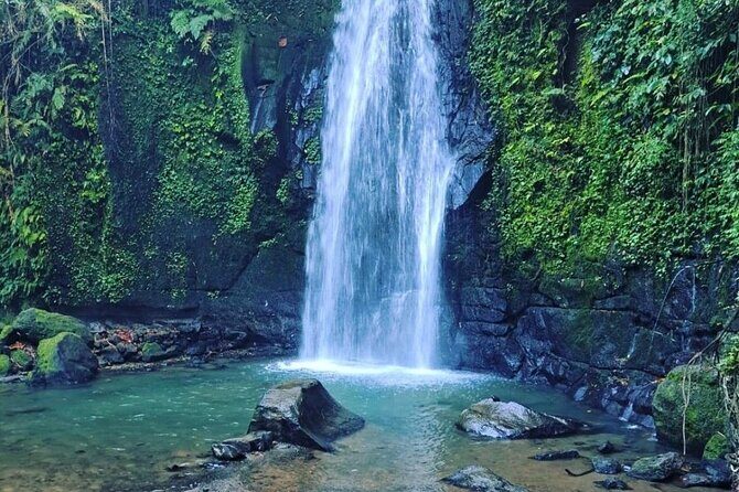 Bali Tirta Empul Tours Experience with Spiritual Cleansing - Tegalalang Rice Terraces: Walking, Photos, and Subak Context