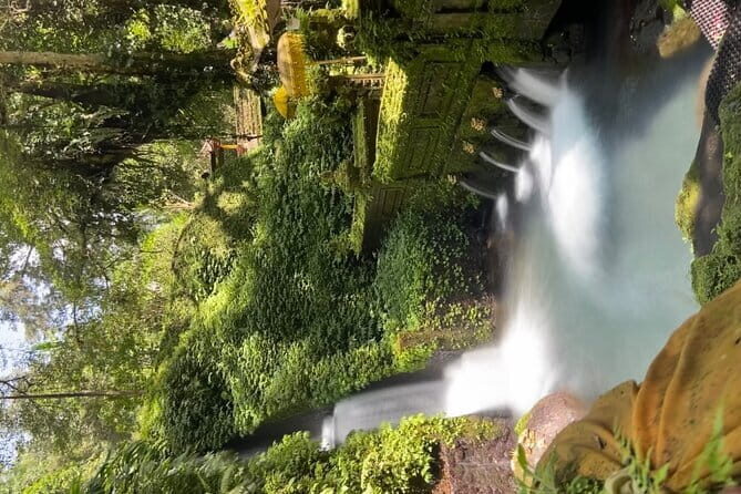 Bali Tour Driver - Puseh Batuan Temple: ornaments, devotion, and local context