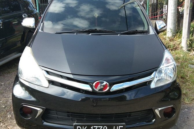 Bali Tour Guide And Driver - Why this private Ubud driver setup works so well
