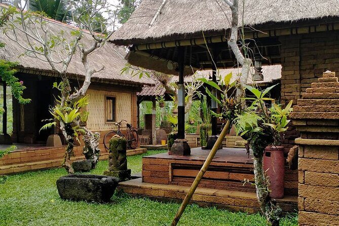 Bali Tour: Kintamani Tour with Lunch - Morning pickup at 8:30am and how the day flows
