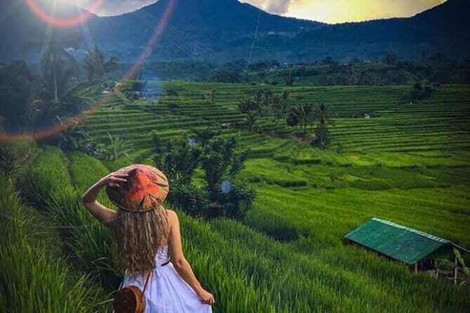 Bali Tour: Tanah Lot, UNESCO Rice Terrace and Water Temple - Guide quality is the real upgrade (Dewa, Gusti, Ketut)