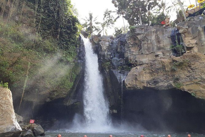 Bali Tour: Ubud Most Popular Place - Key points to know before you go