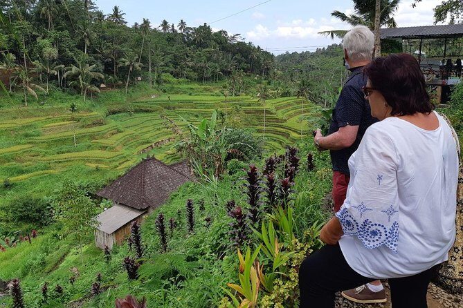 Bali Tour: Ubud Most Popular Place - Celuk Village for silver and gold work with local hands