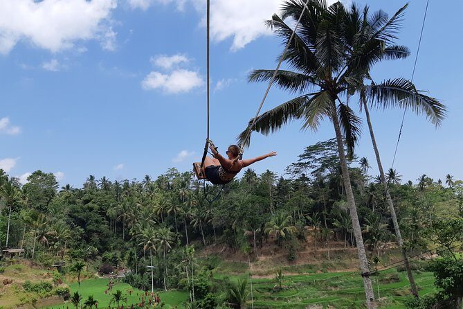 Bali Tour: Ubud Most Popular Place - Price and value: is $119 a smart deal for 10 hours?