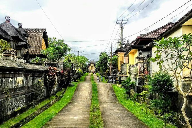 Bali Traditional Village Experience - Key things to love about the Taro village experience