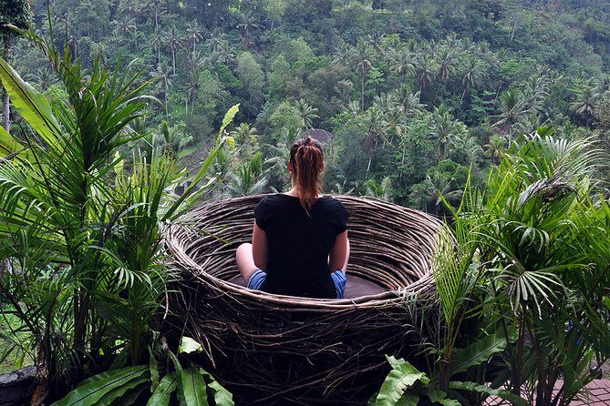 Bali Ubud and Volcano Day Tours - Sacred Monkey Forest Sanctuary: Macaques and Photo Help
