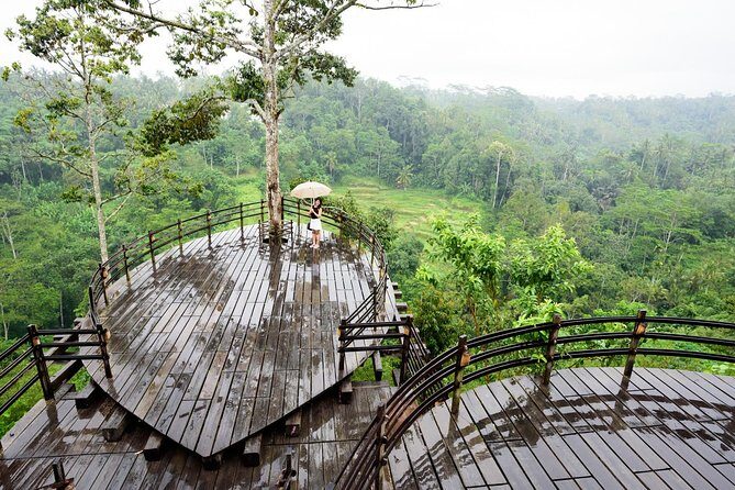 Bali Ubud & Kintamani Volcano Tour -All Inclusive - Uma Pakel Agro Tourism: coffee and fruit you can actually name